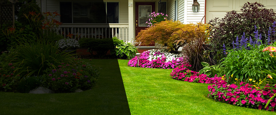 Seaford Landscapers